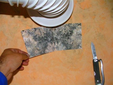 Pilzbestimmung & Sanierung | BAUHERRENHILFE.AT