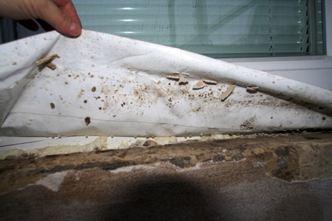 Luftdichtheitsprüfung & Trockenbau | BAUHERRENHILFE.AT